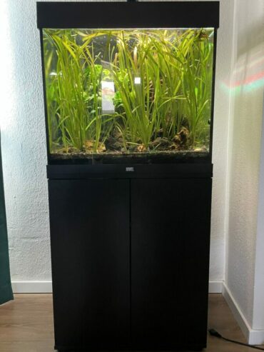 Aquarium Juwel 120l + Unterschrank und Technik